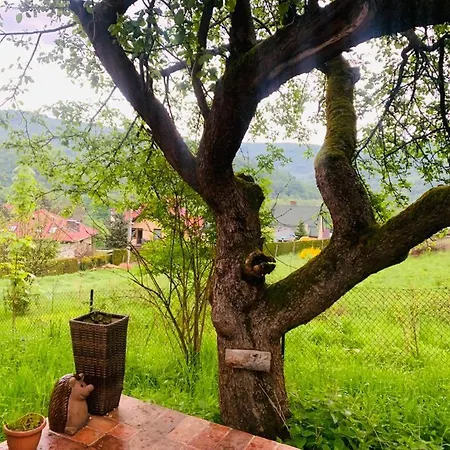 Tutaj Sielankowo Ustroń